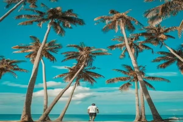 Circuit Cebu, Bohol, Dumaguete et Siquijor en liberté