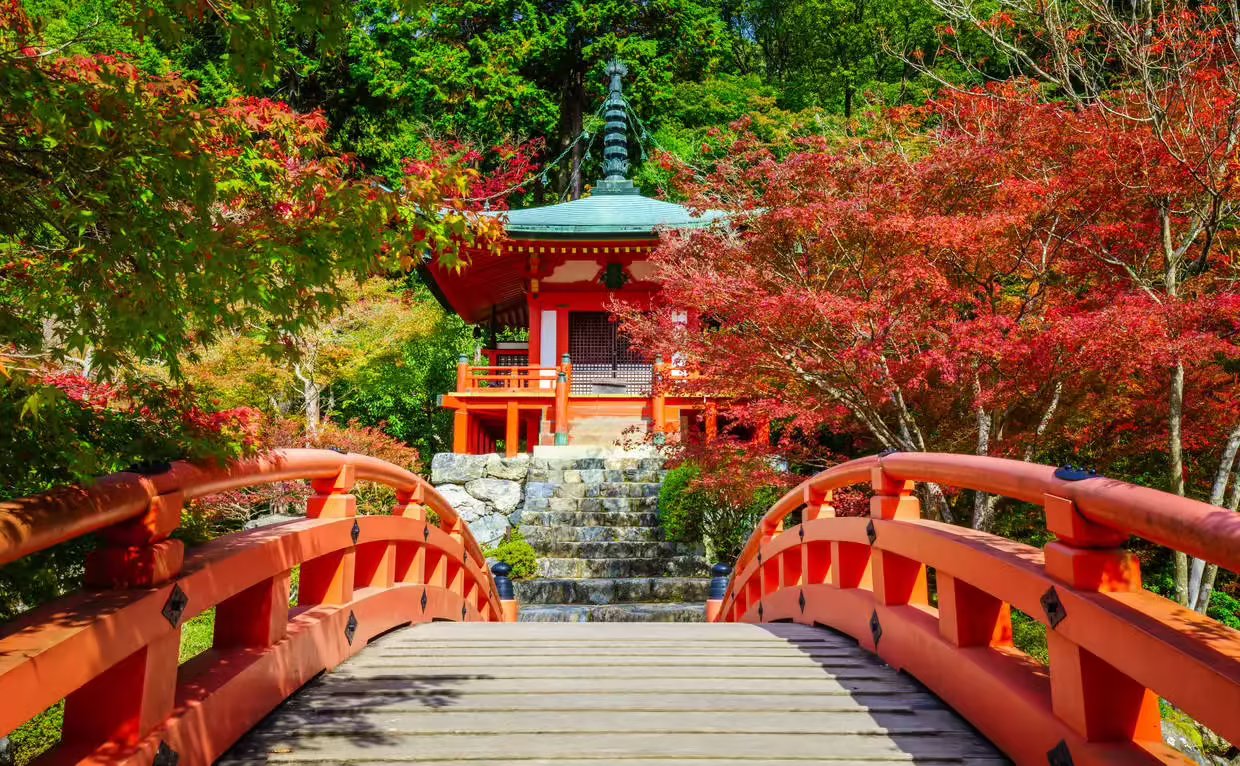 Circuit À la Conquête du Japon