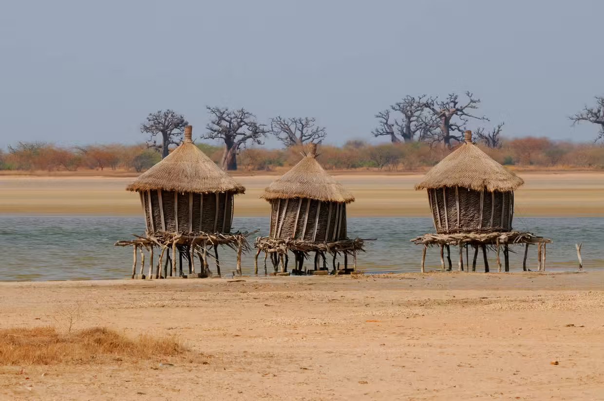 Circuit Beautés du Sénégal et balade avec les lions de Fathala