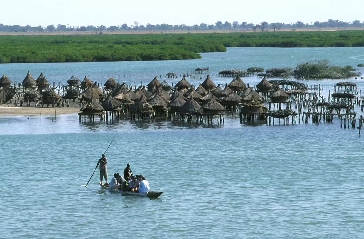 Circuit Beautés du Sénégal et balade avec les lions de Fathala
