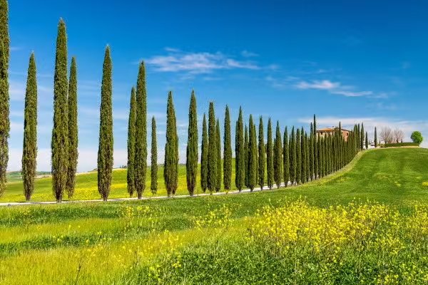 Circuit Trésors de Toscane & Evasion aux Cinque Terre